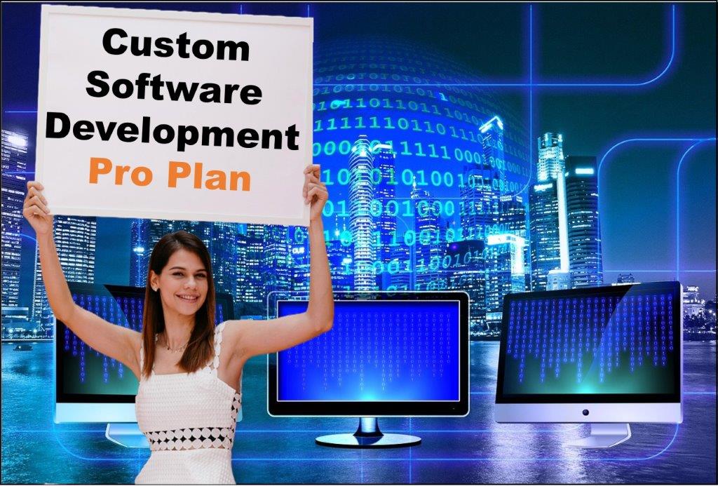 custom software development agency in Honolulu Hawaii