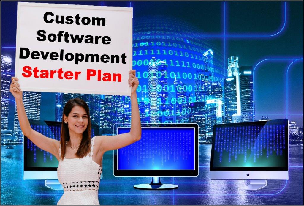 Custom Software Development in Honolulu Hawaii