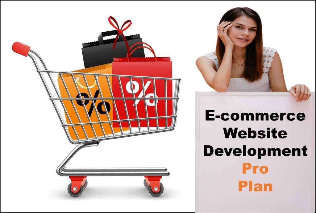 professional ecommerce website development agency in Honolulu Hawaii