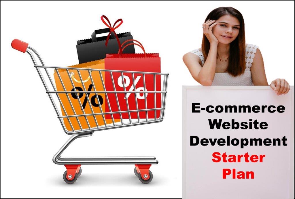 ecommerce website development agency in Honolulu Hawaii