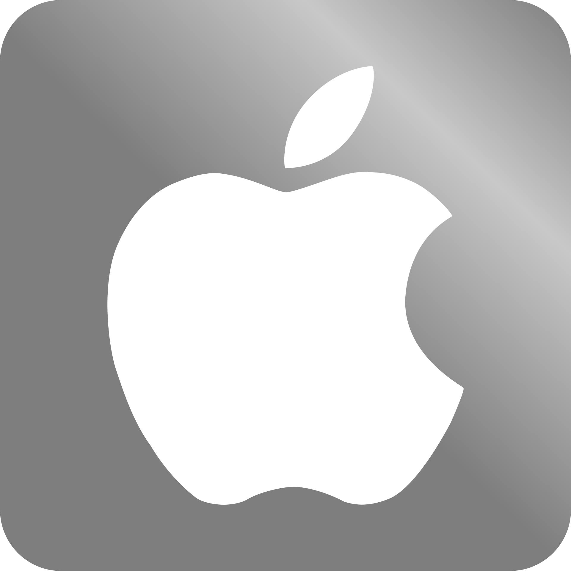 professional ios app development agency in Honolulu Hawaii
