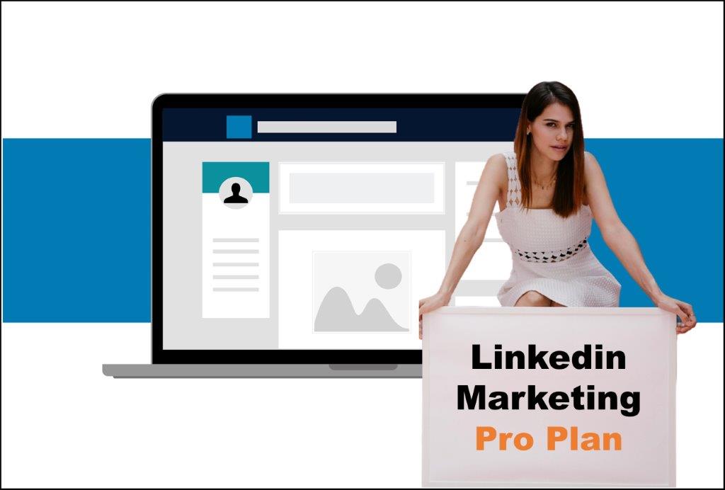 linkedin marketing agency in Honolulu Hawaii