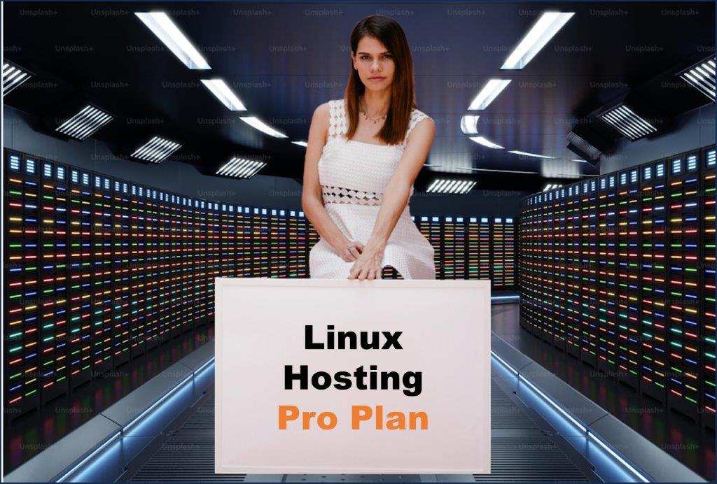 linux hosting windows hosting provider in Honolulu Hawaii