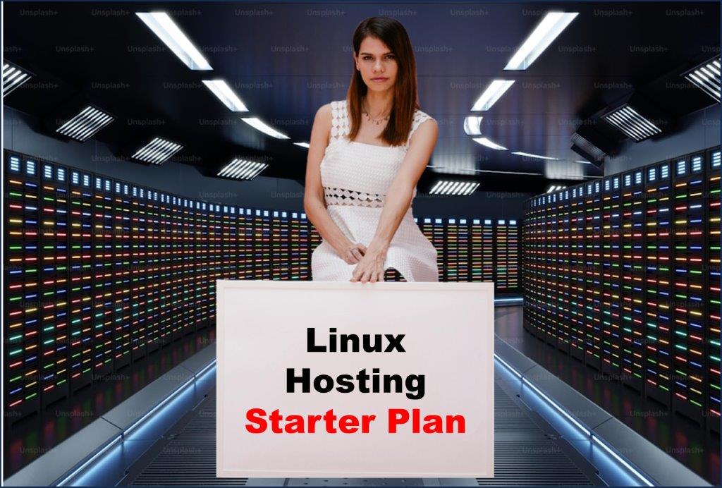 Website Hosting in Honolulu Hawaii