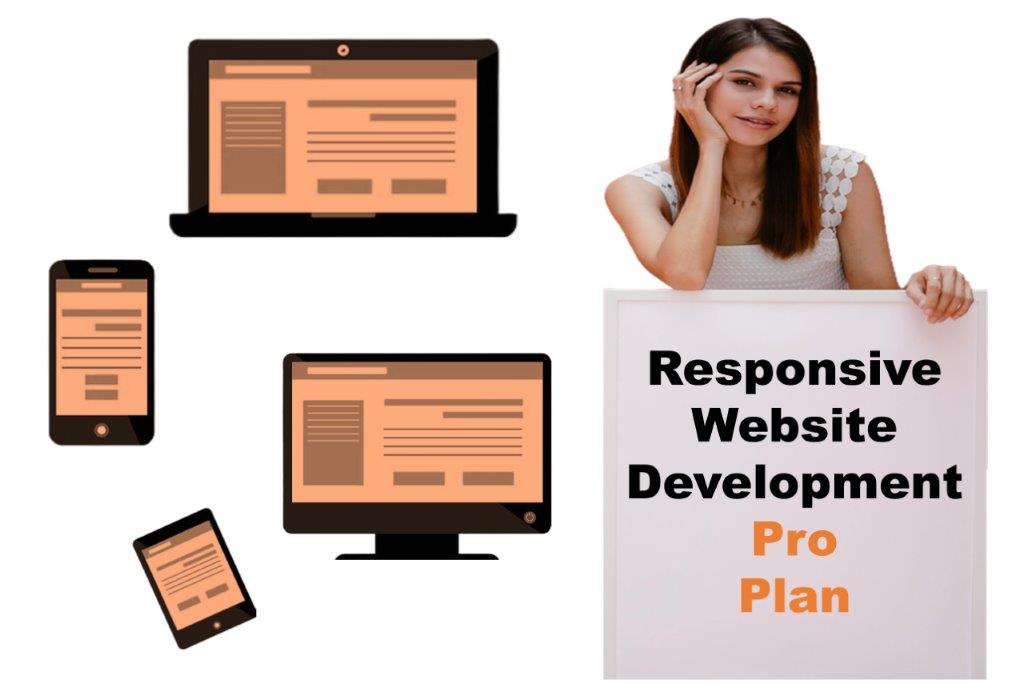 expert responsive website development agency in Honolulu Hawaii