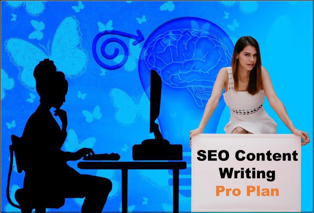 seo content writing agency Honolulu Hawaii