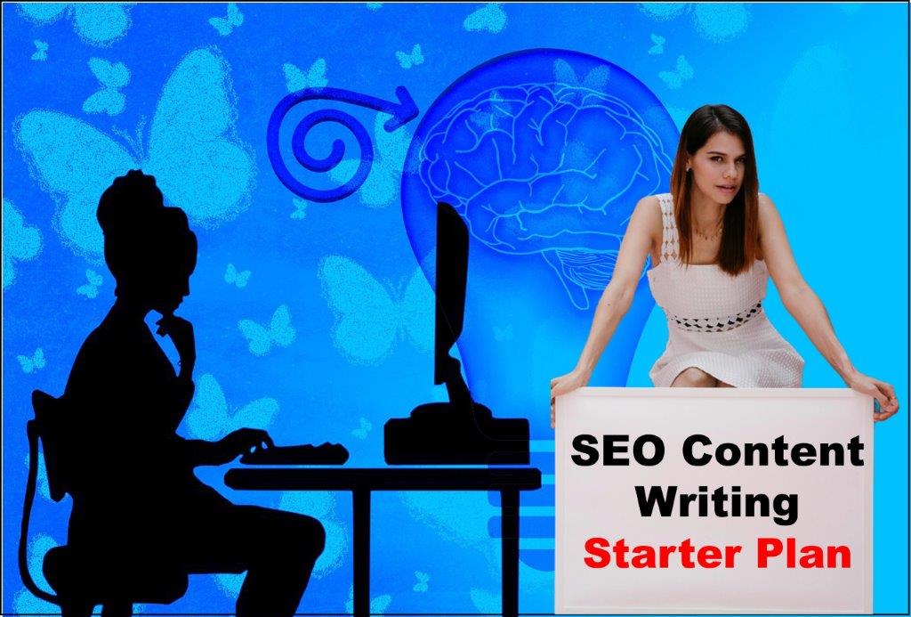 seo content writing service provider in Honolulu Hawaii