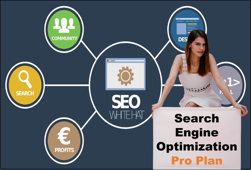 seo company Honolulu Hawaii