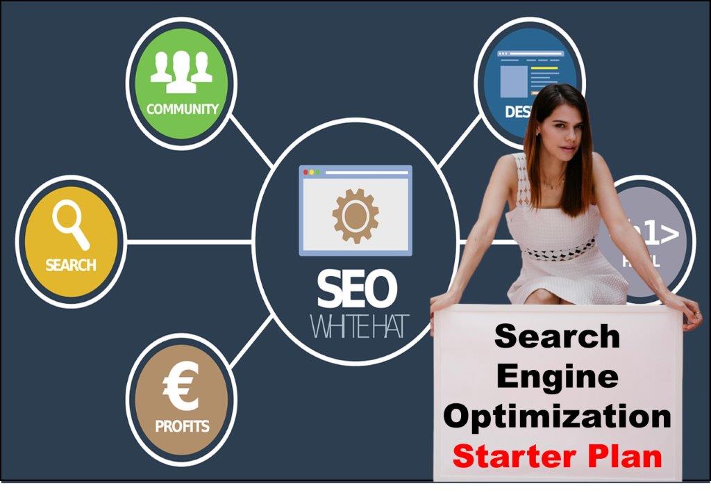 seo service provider in Honolulu Hawaii