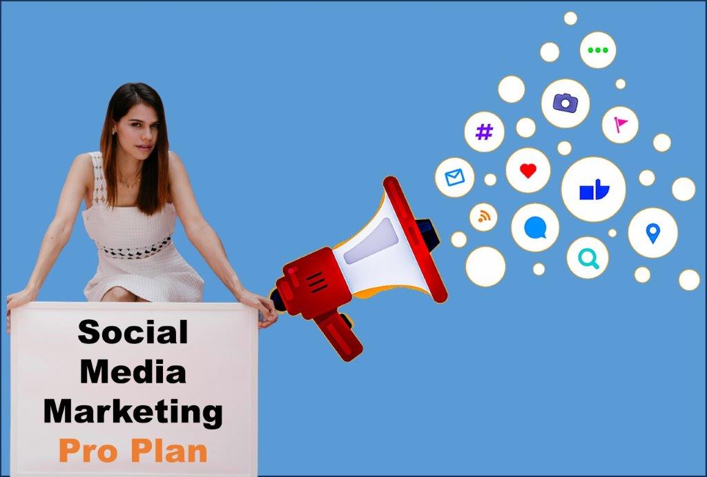 social media marketing company in Honolulu Hawaii