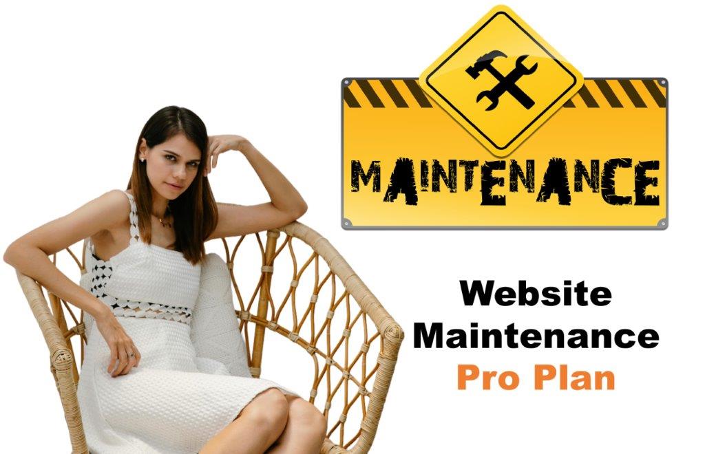 website maintenance agency in Honolulu Hawaii
