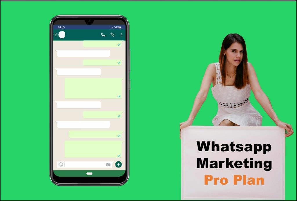 whatsapp marketing agency in Honolulu Hawaii