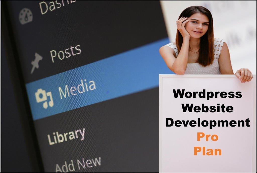 wordpress website designing in Honolulu Hawaii