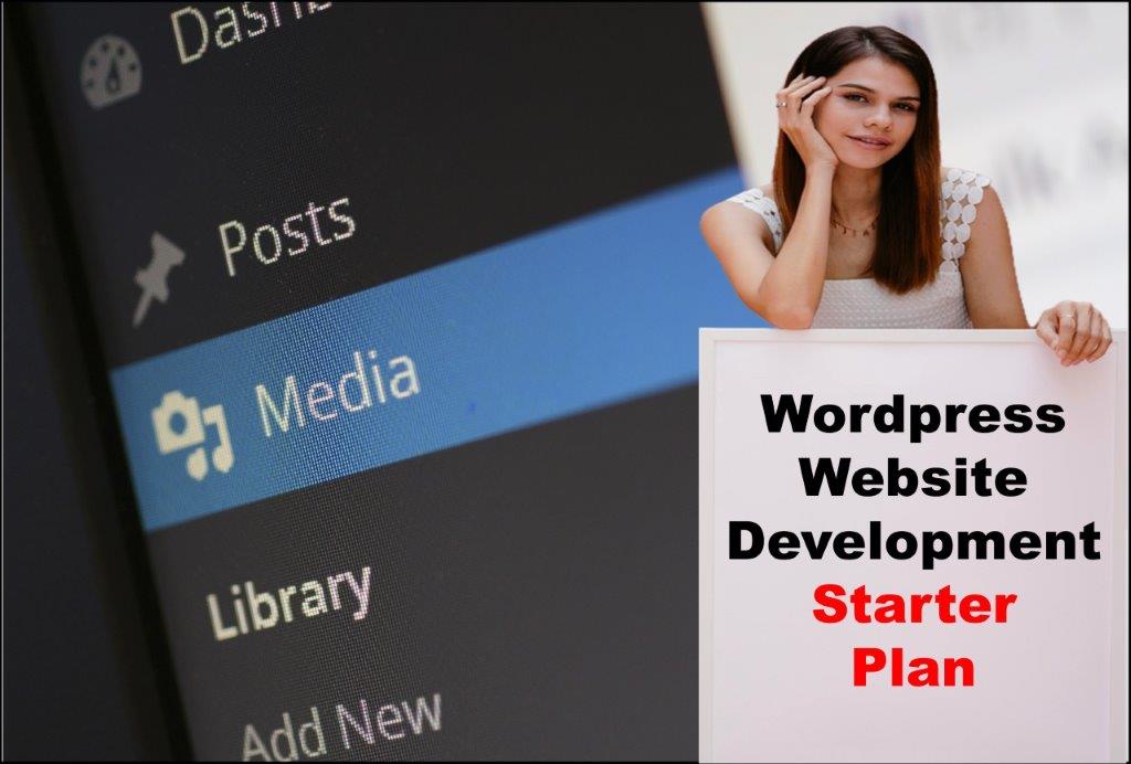 Wordpress Website Development in Honolulu Hawaii